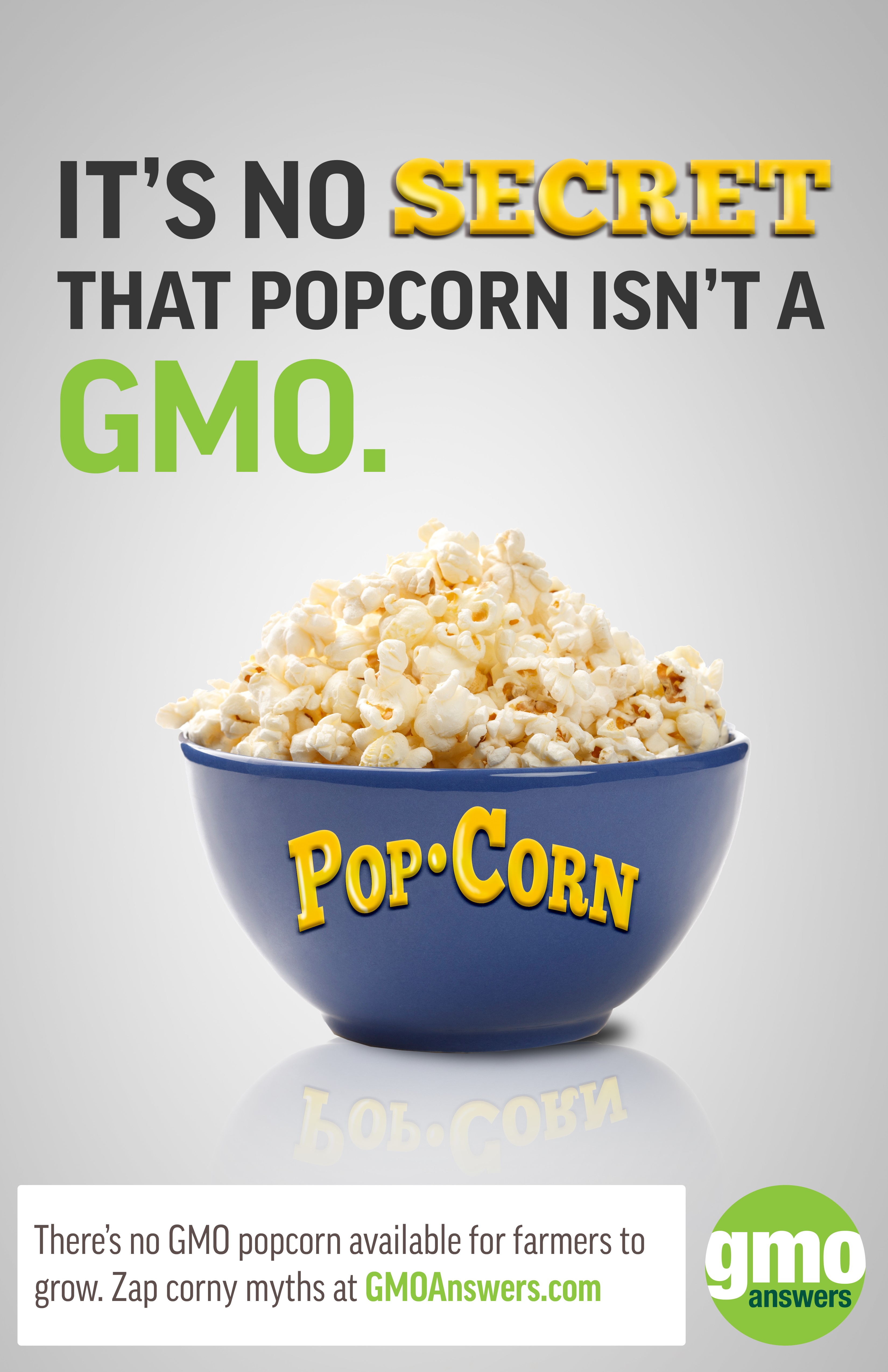 Are GMOs bad or harmful to your health? GMO Answers